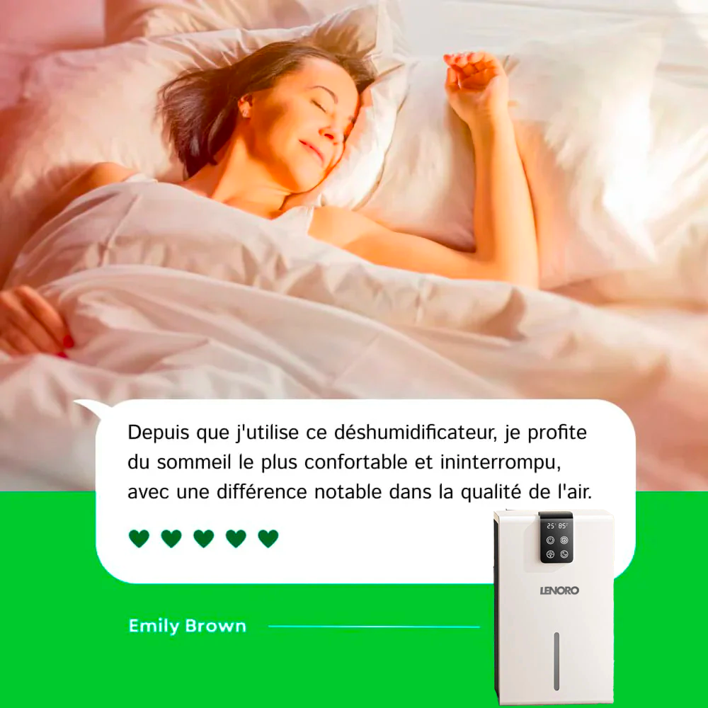 Purificateur d’air V1 Pro Lenoro